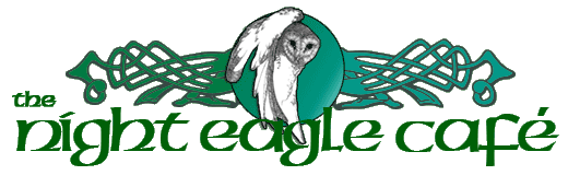 Nighteagle Logo